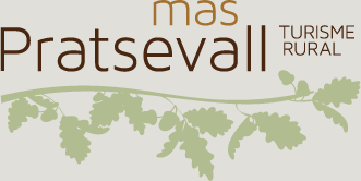 LOGO_MASPRATSEVALL